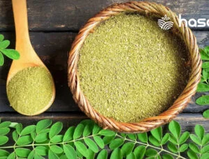 Moringa Nedir? Moringa Yararları ve Zararları Nelerdir?