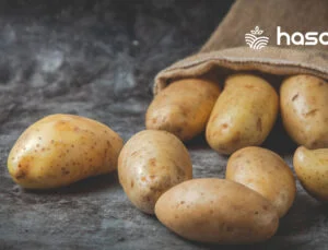 Patates Nedir? Besin Değerleri Nelerdir?