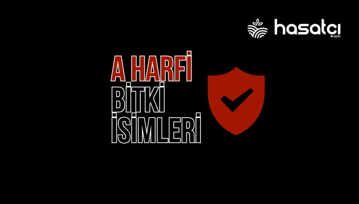 A Harfi İle Bitki İsimleri – A Harfi İle Başlayan Bitkiler