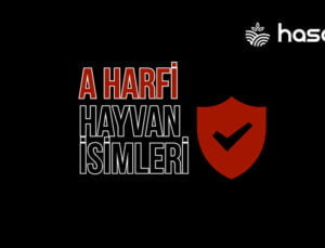 A Harfi İle Hayvan İsimleri – A Harfi İle Başlayan Hayvan İsimleri