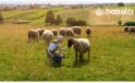 Nisan Ayında Çiftçilik ve Hayvancılıkta Yapılması Gerekenler