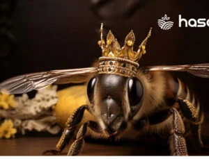 Kraliçe Arı Nedir? Nasıl Bakılır? Kraliçe Arı İncelemesi