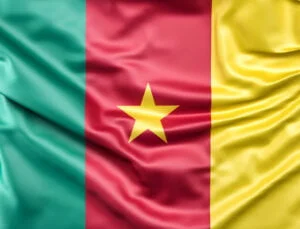 Kamerun’un Tarım Sektörü: Mevcut Durum, Zorluklar ve Geleceğe Bakış